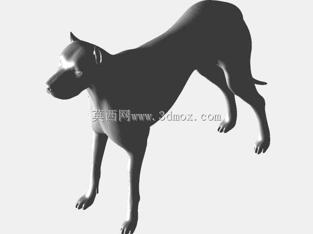 艾沃·阿尔贝蒂的狗