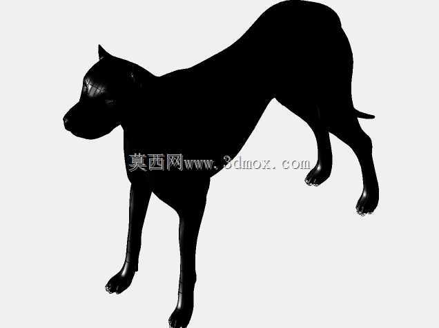 艾沃·阿尔贝蒂的狗