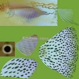 水族馆(热带)