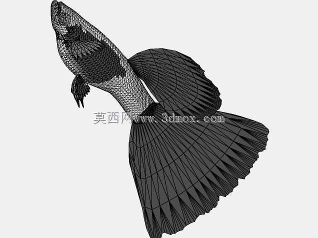 水族馆(热带)
