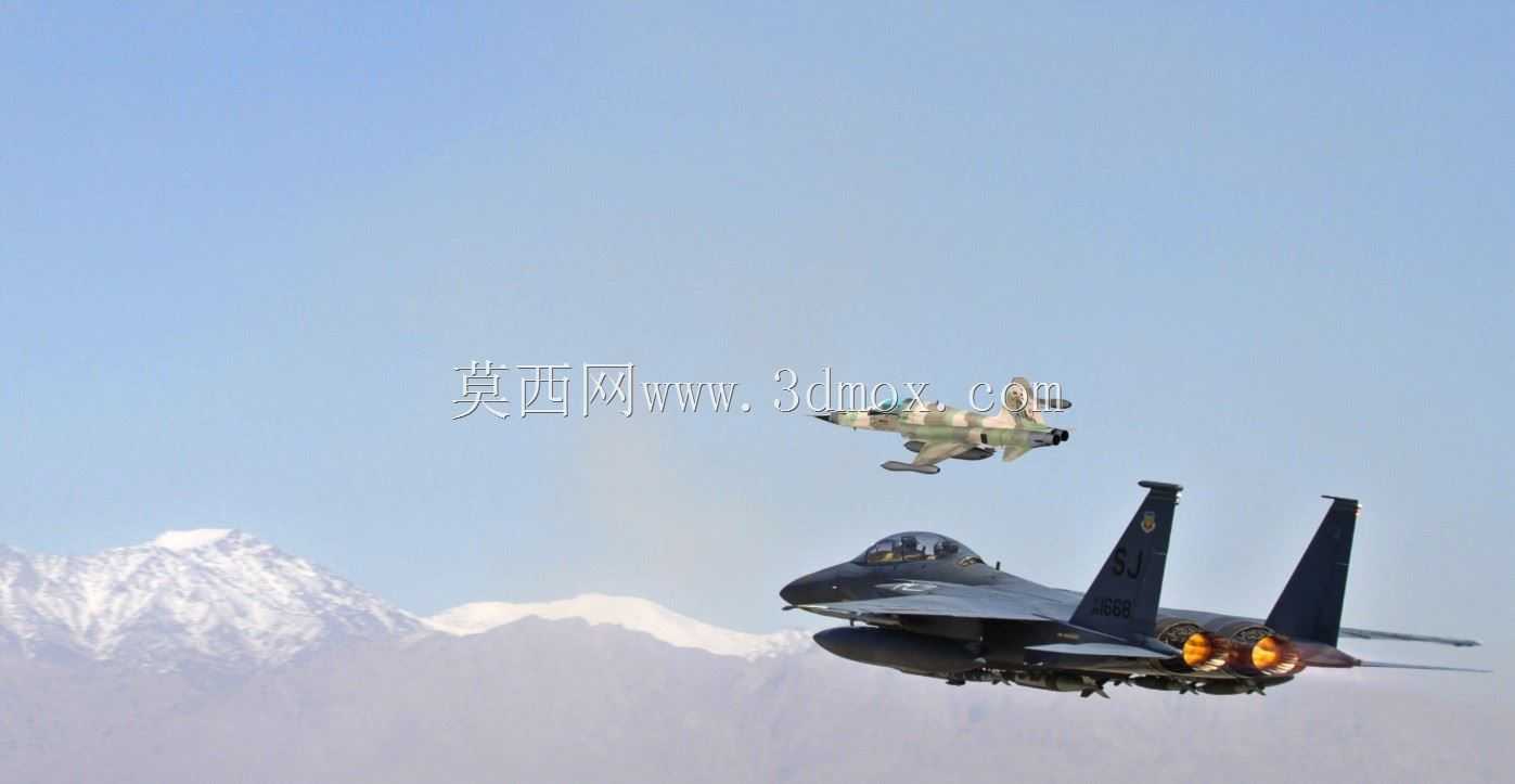 F-5E�ϻ�II