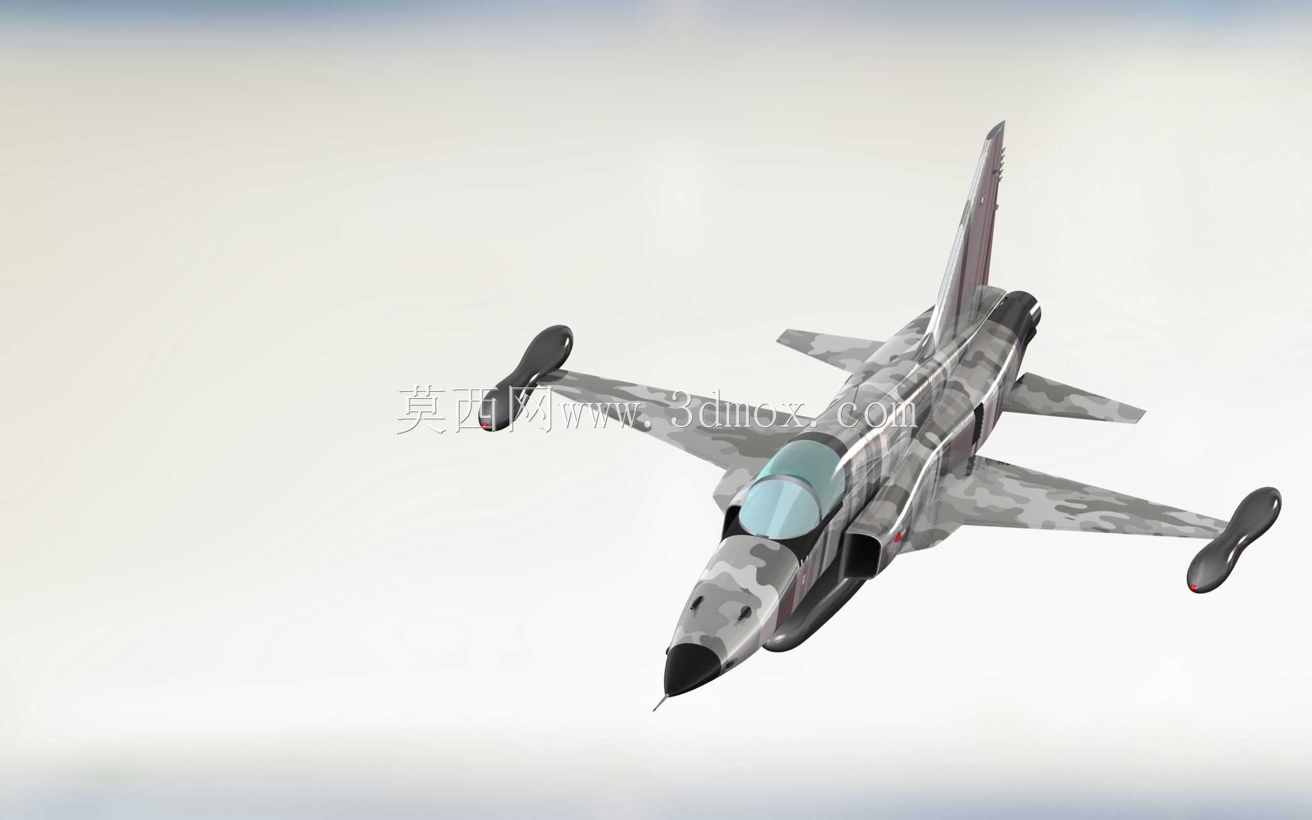 F-5E�ϻ�II