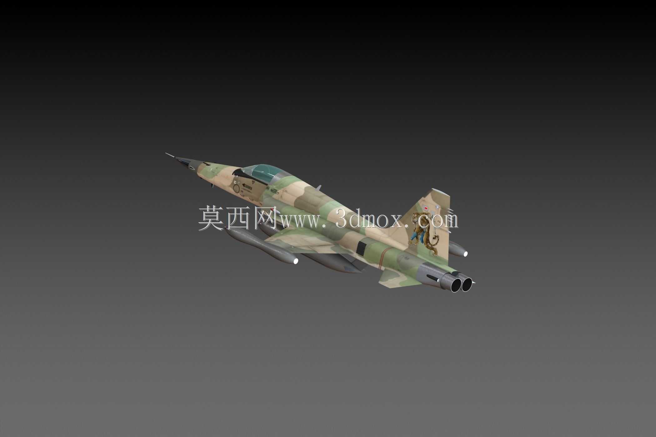 F-5E�ϻ�II