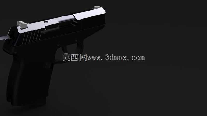 Kel-Tec P11��ǹ