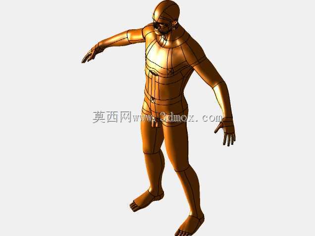 男性人体