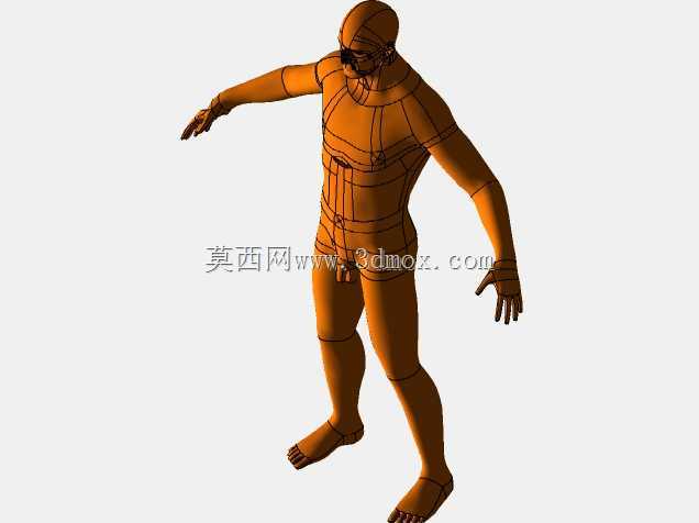 男性人体