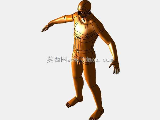 男性人体