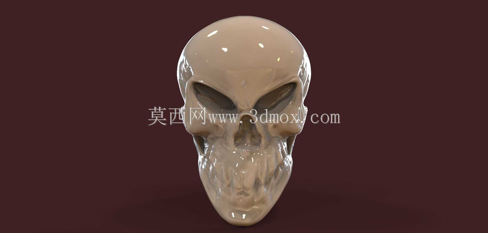 外星人头骨!!