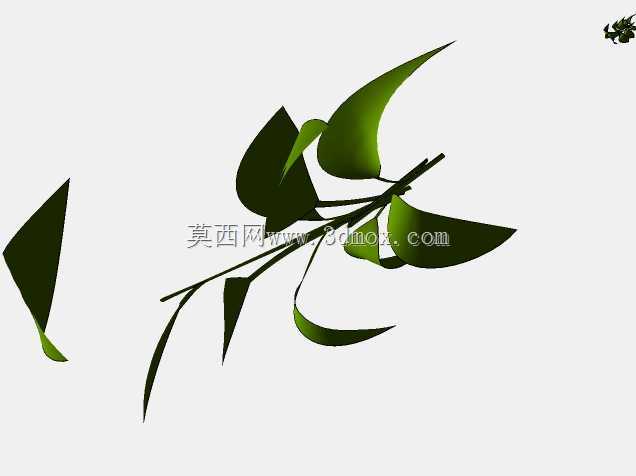 菲库斯室内植物和盆栽