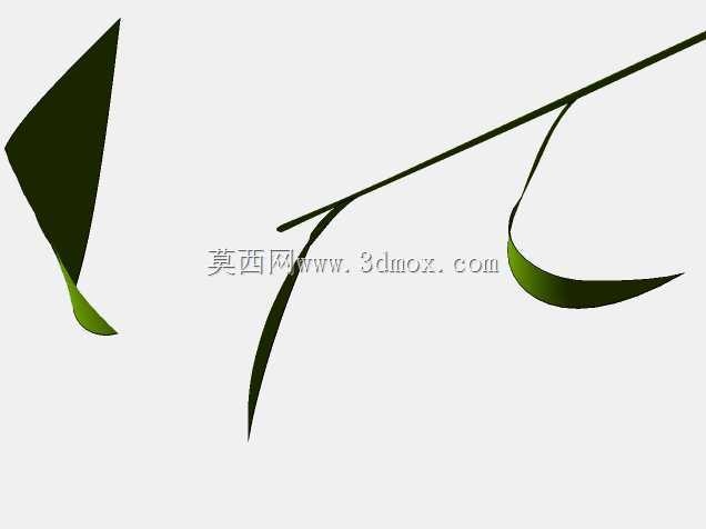 菲库斯室内植物和盆栽