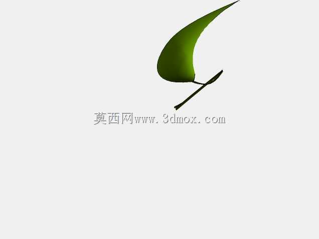 菲库斯室内植物和盆栽