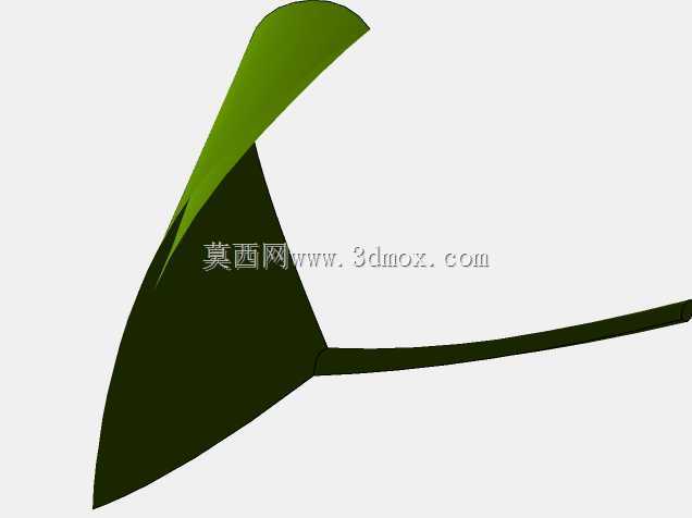 菲库斯室内植物和盆栽