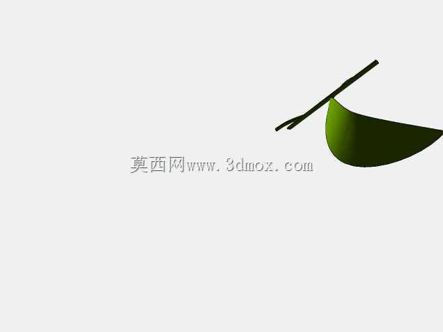 菲库斯室内植物和盆栽