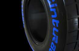 F1 2015ʪ̥325/670-13�����