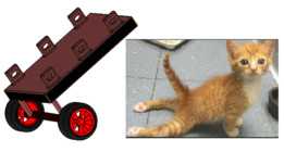 猫用轮椅