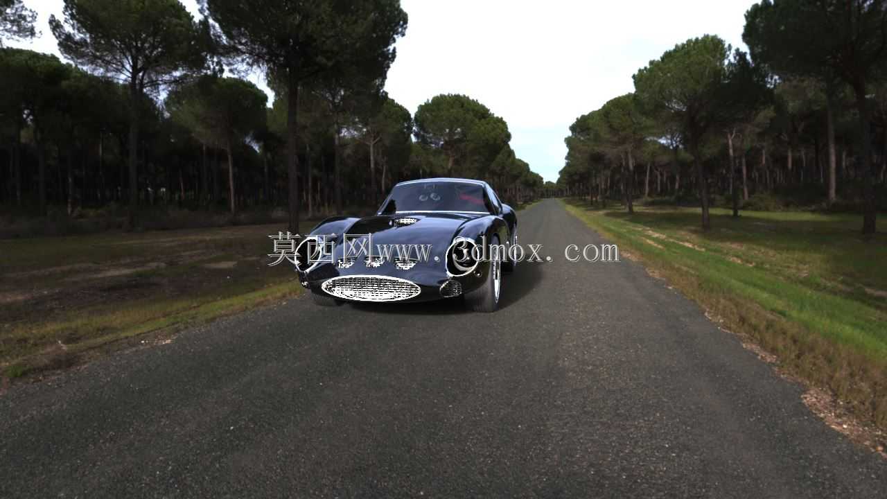 ������250 GTO