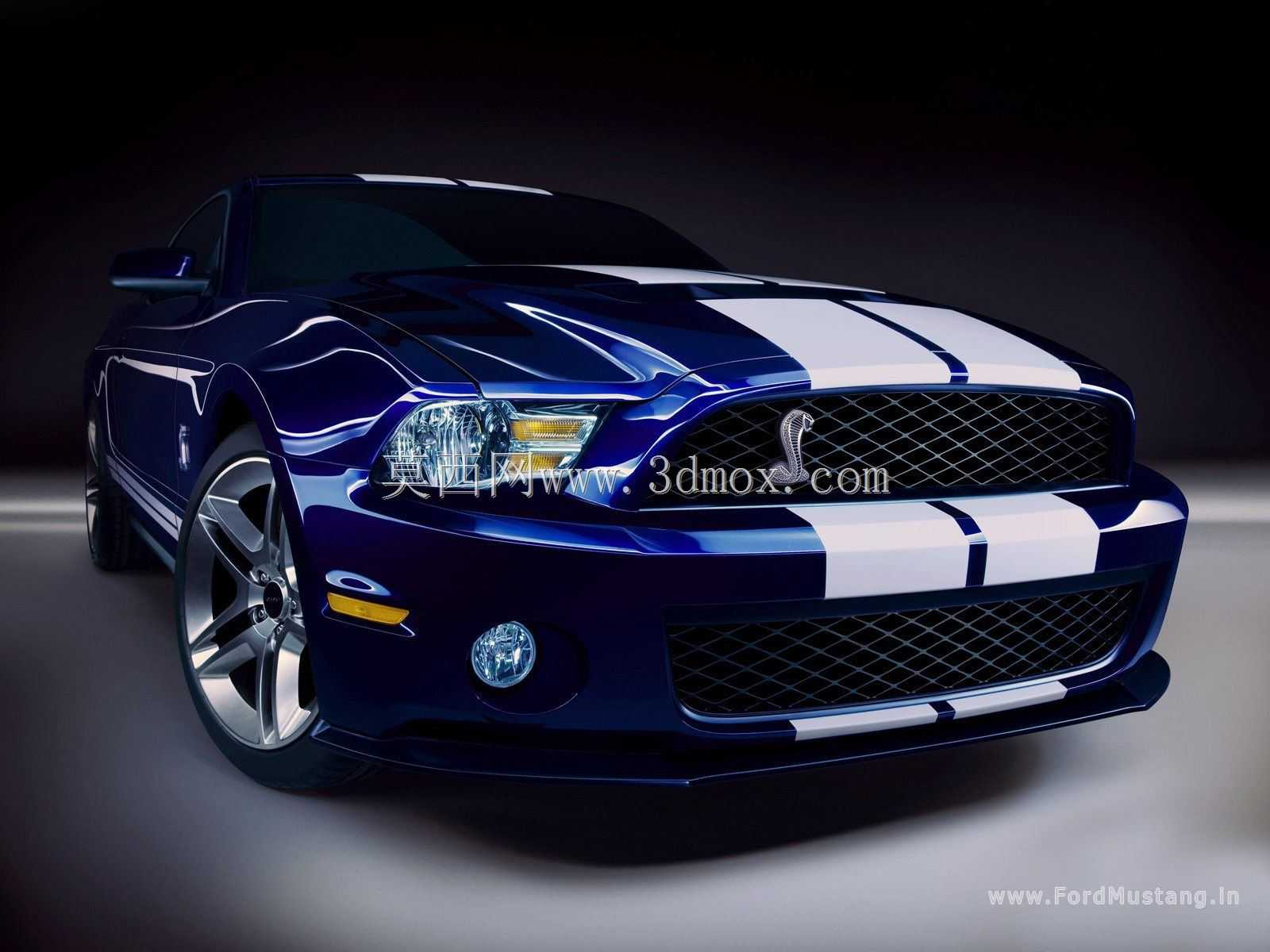 ����л����gt 500