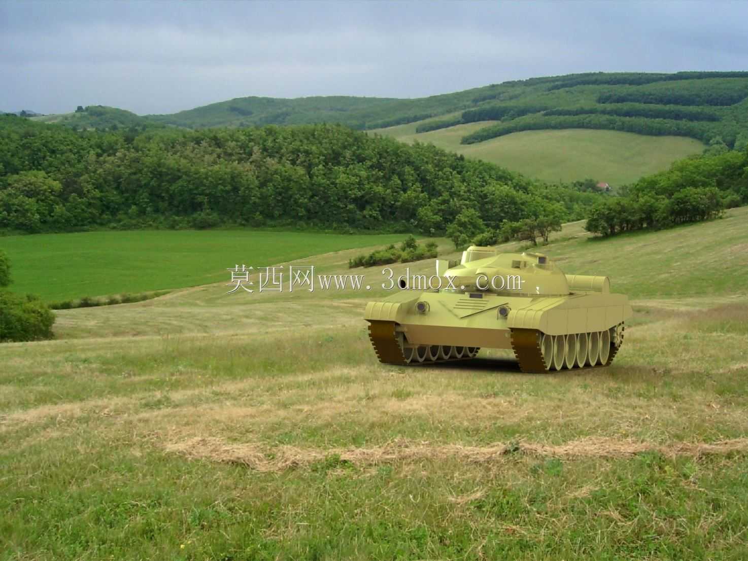 T72����˹̹��