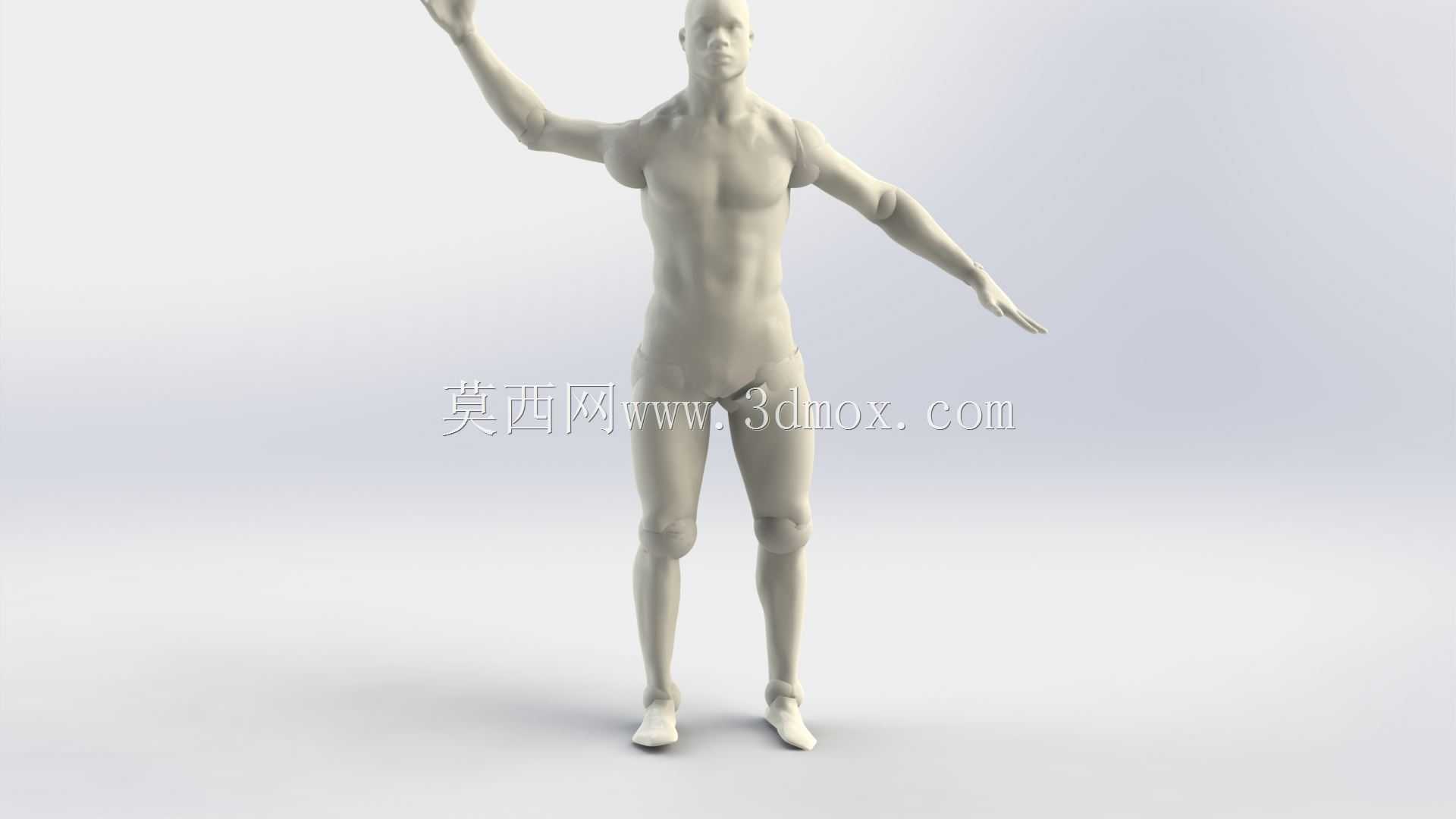 假人男性