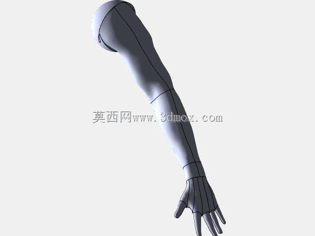 假人男性