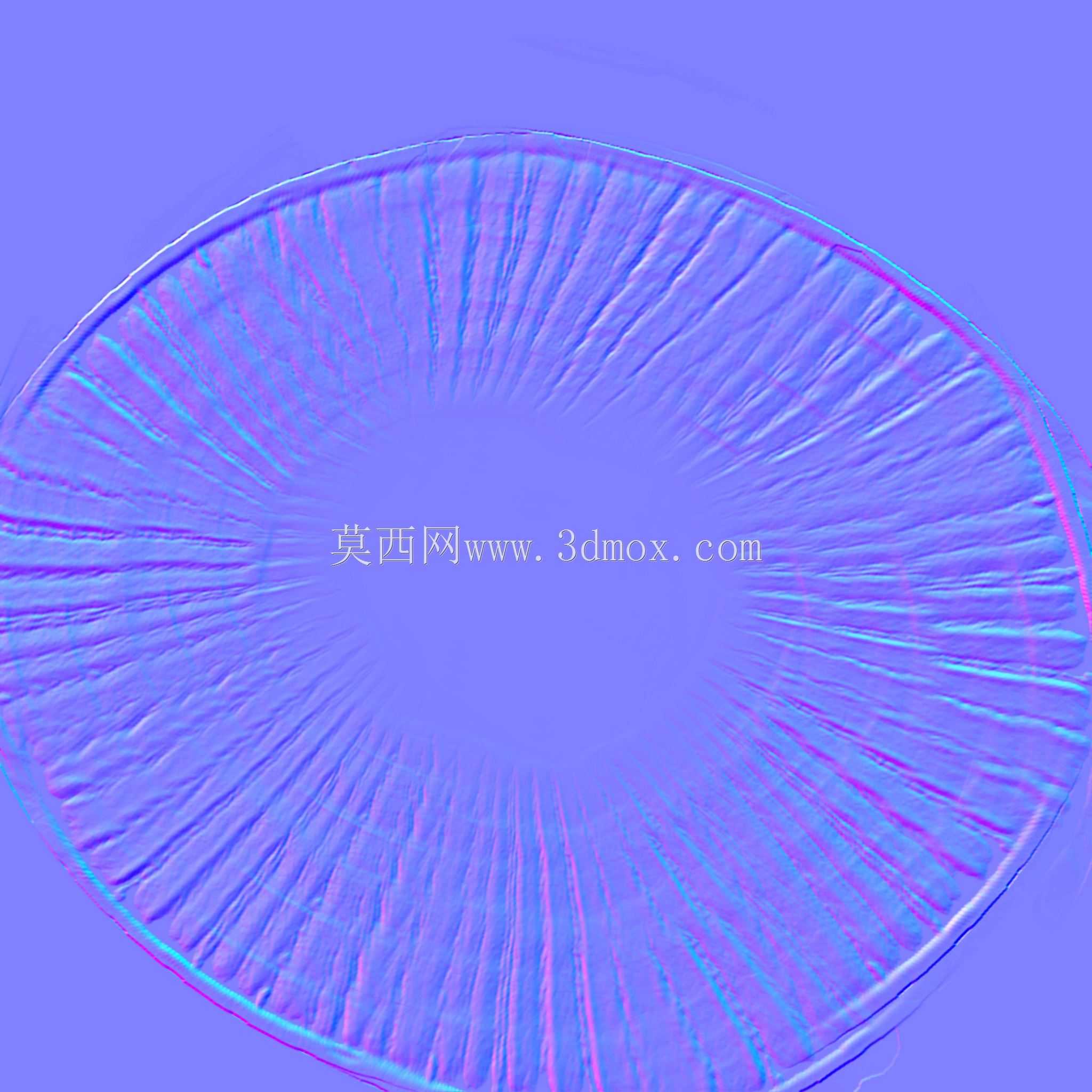 �ҵĶ���