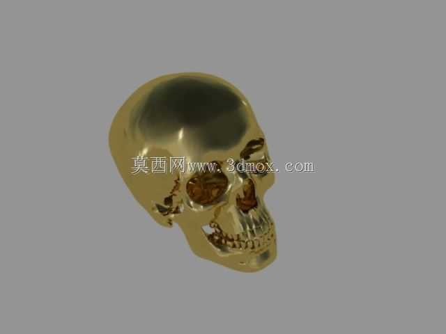 头骨1