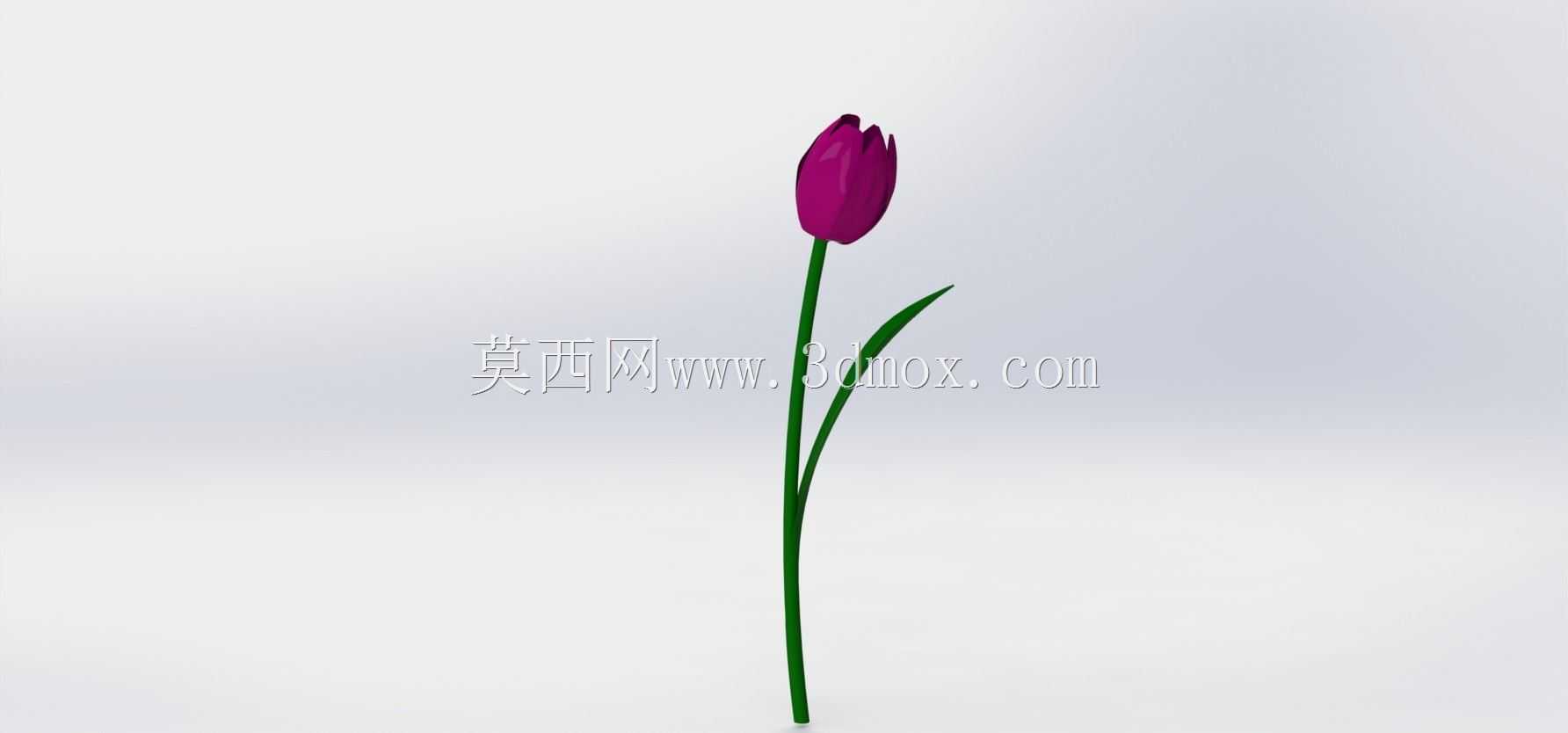 ������