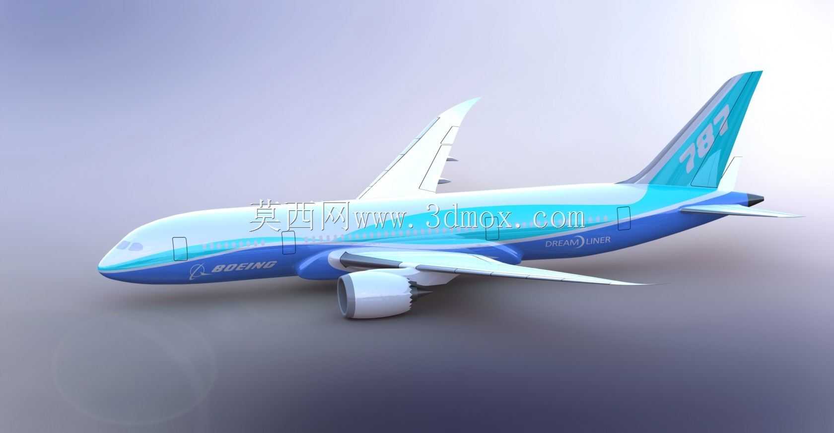 ����787����ɻ�