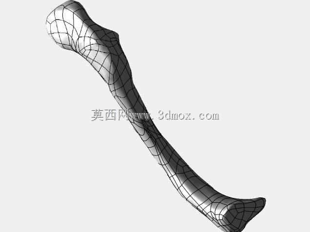 �������ѧV3-���ԣ��ձ�������ѧ�����岿��3d��Դ��