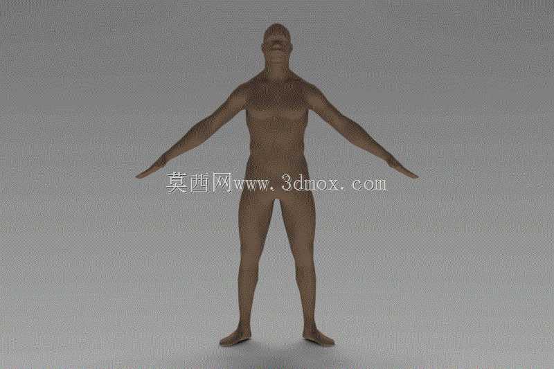 詹姆斯(人体比例)