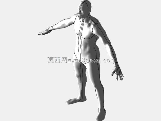 詹姆斯(人体比例)