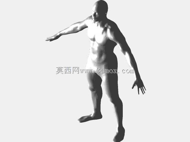 詹姆斯(人体比例)