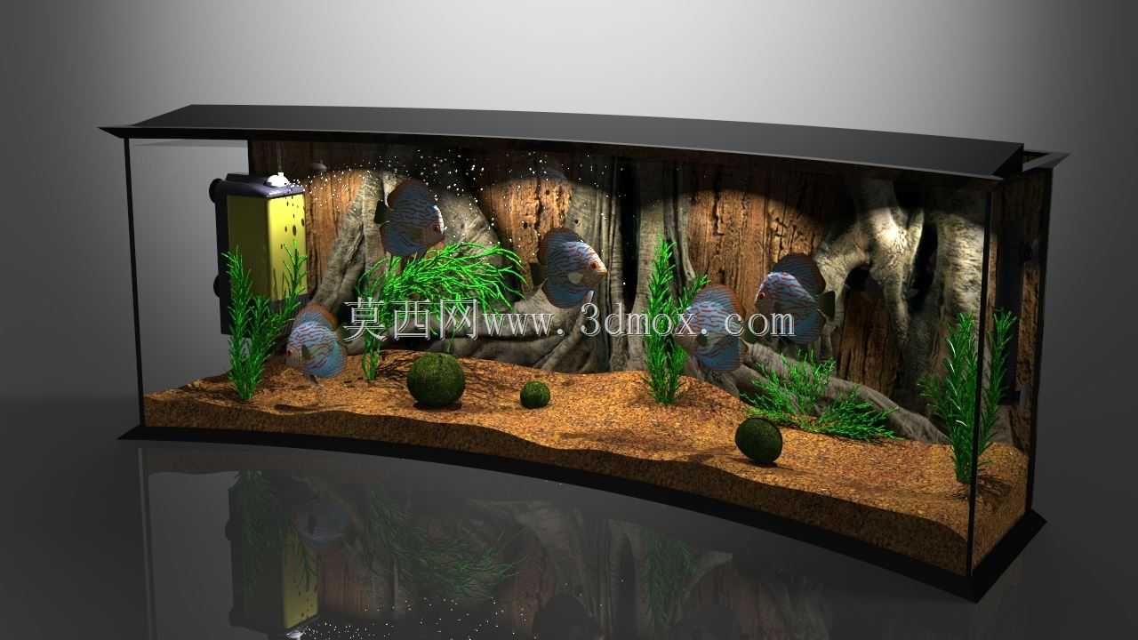 全景水箱
