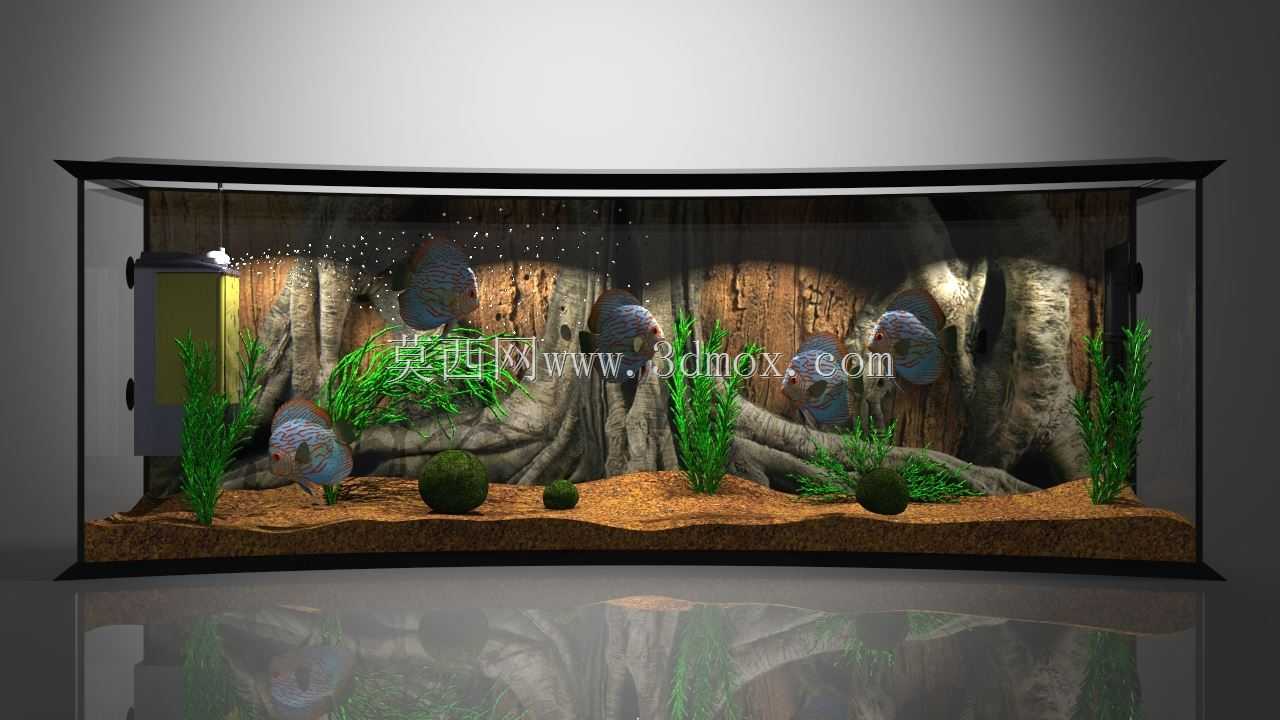 全景水箱