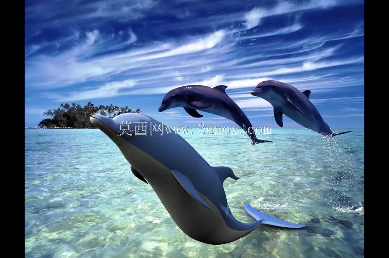 �¶���ŵ