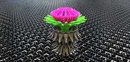 BRO FLOWER 3D��ӡ