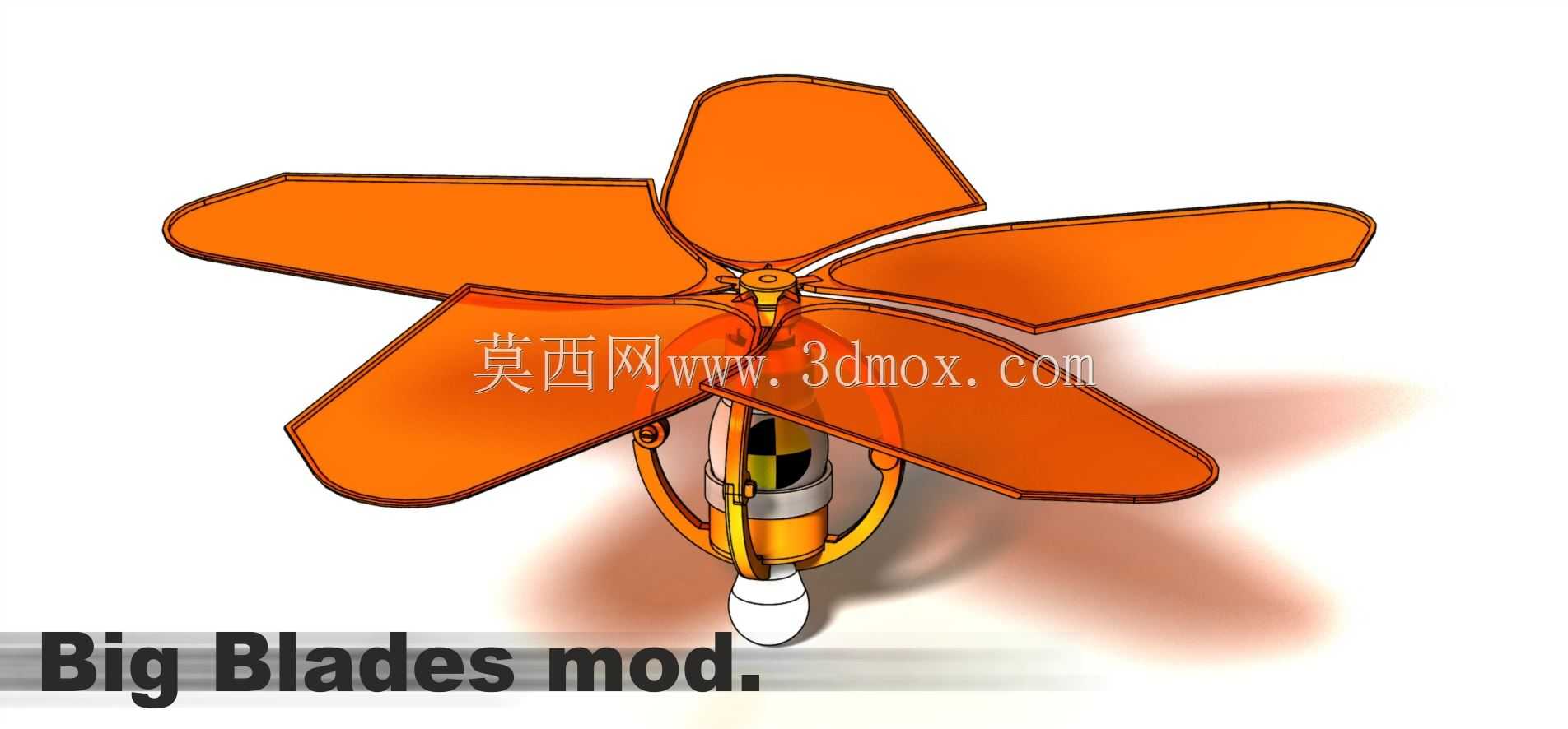ֱ����