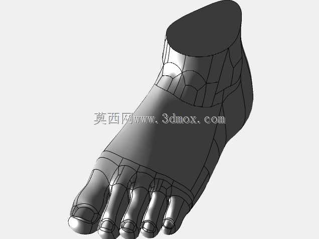 脚(表面到实体)