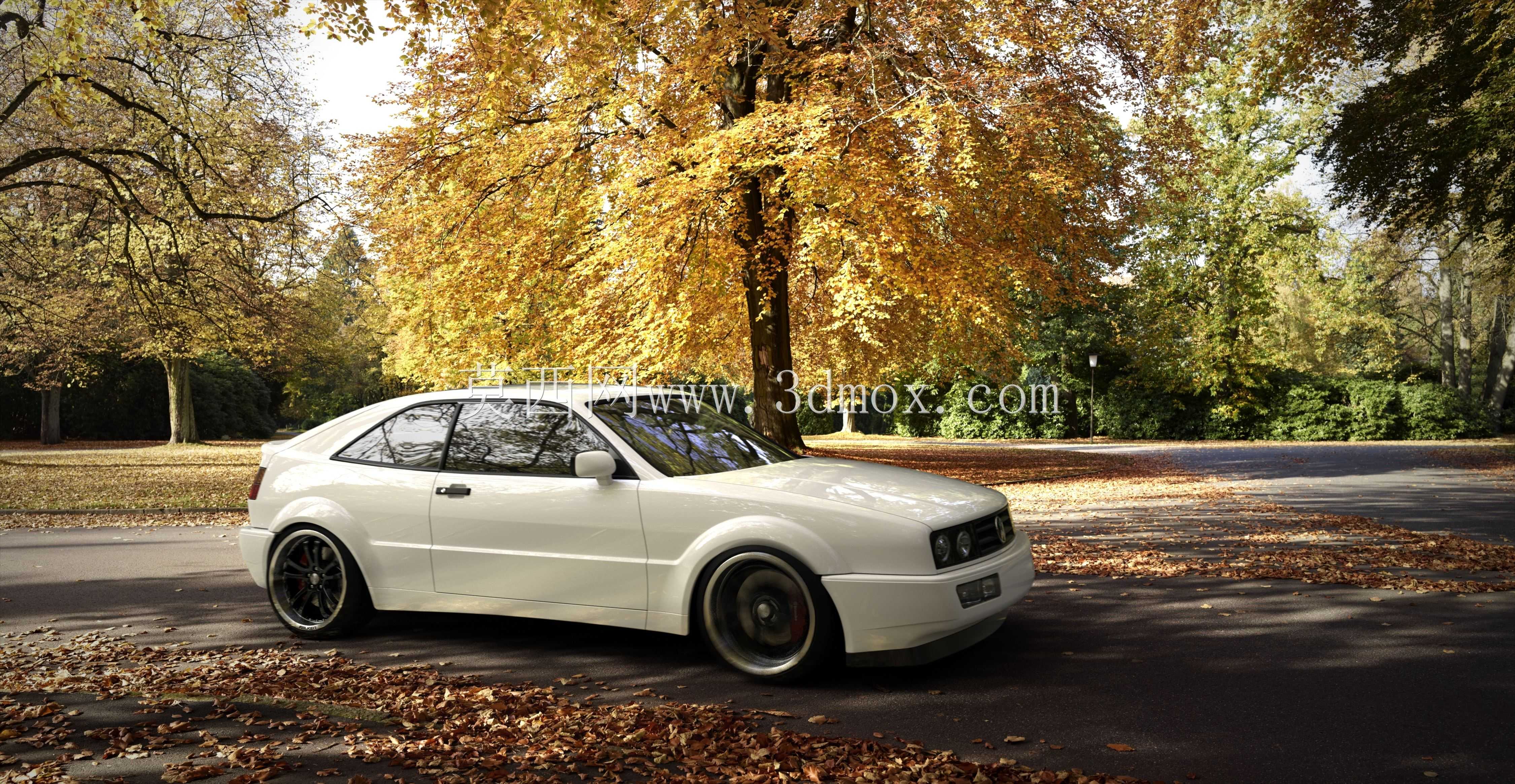 ���ڿ�����SLC