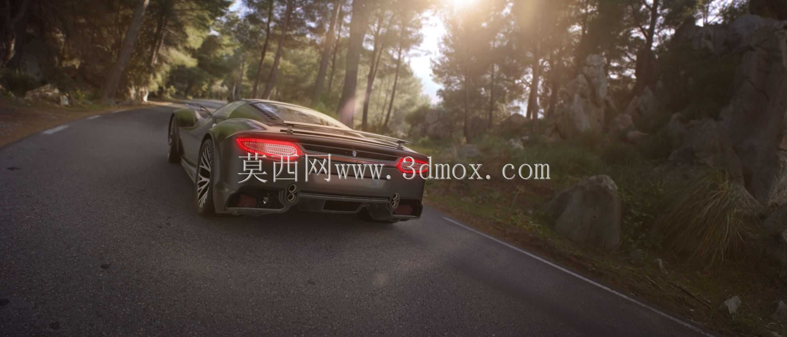 N2 K运动
