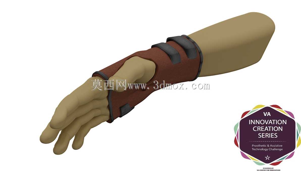 \“VA泵概念,手柄气囊”