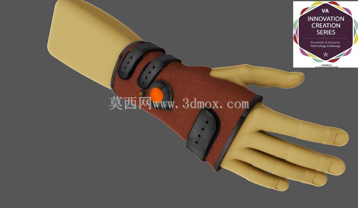 \“VA泵概念,手柄气囊”