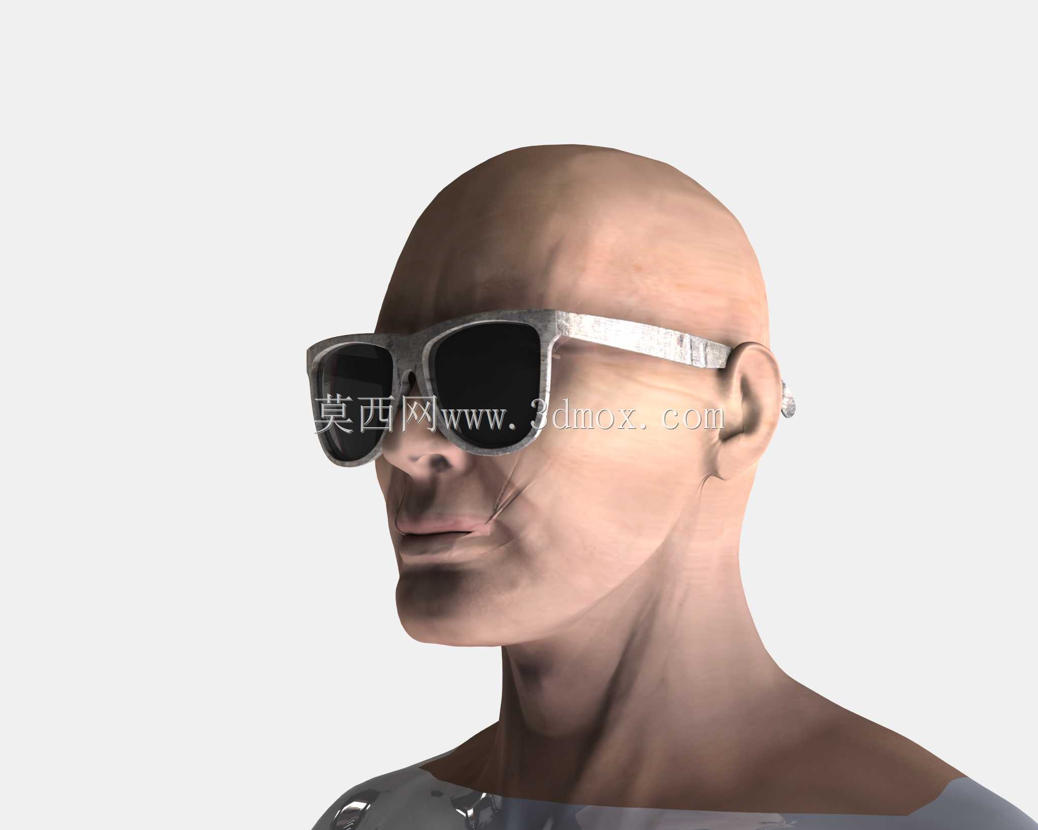 Rayban Wayfarer太阳镜
