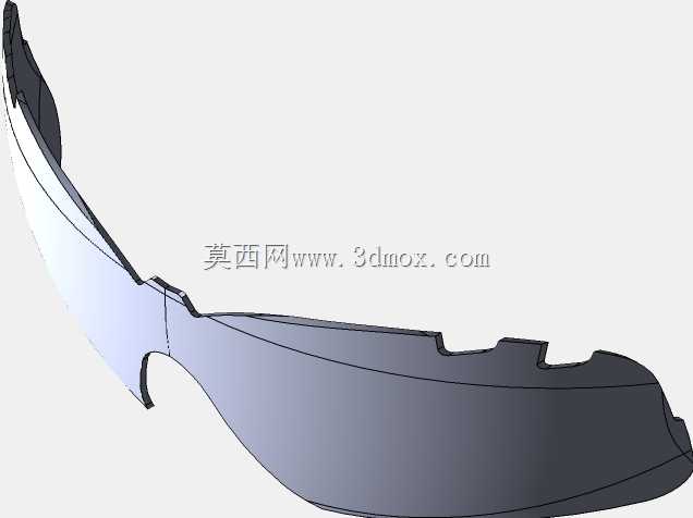 Rayban Wayfarer太阳镜