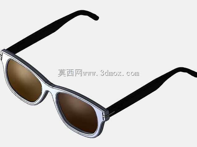 Rayban Wayfarer太阳镜