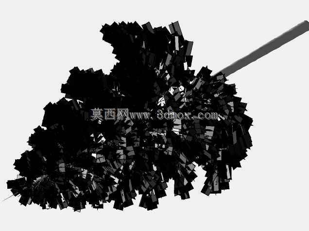 松树22米