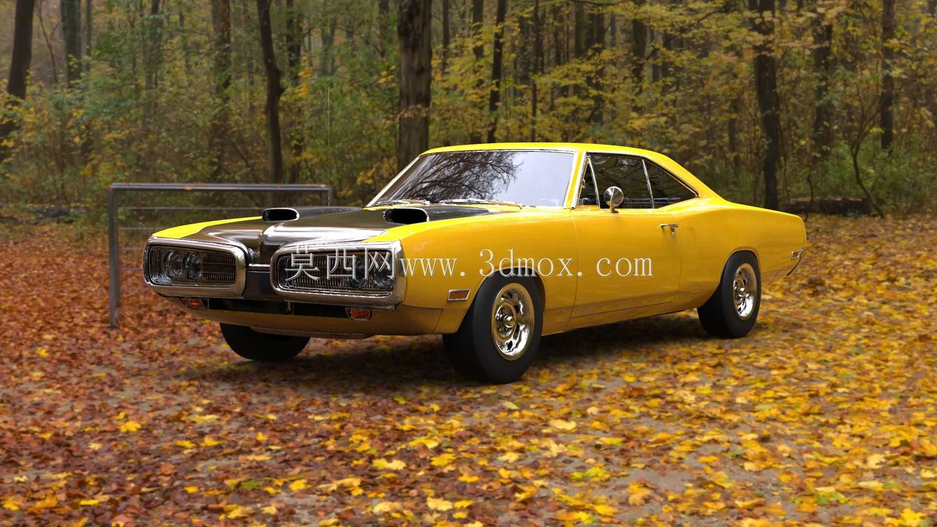 1970���滨��