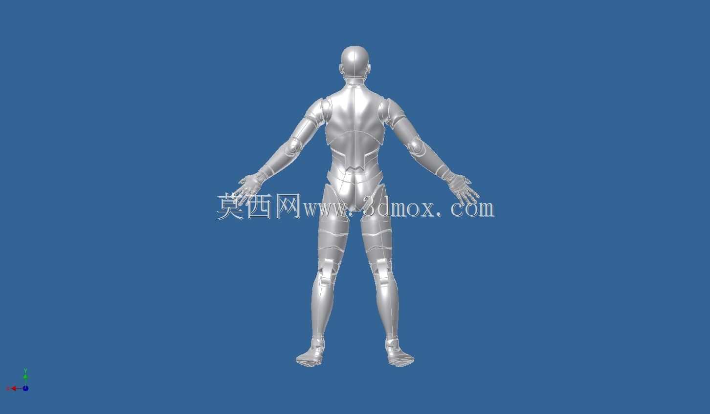 亚当人体模型