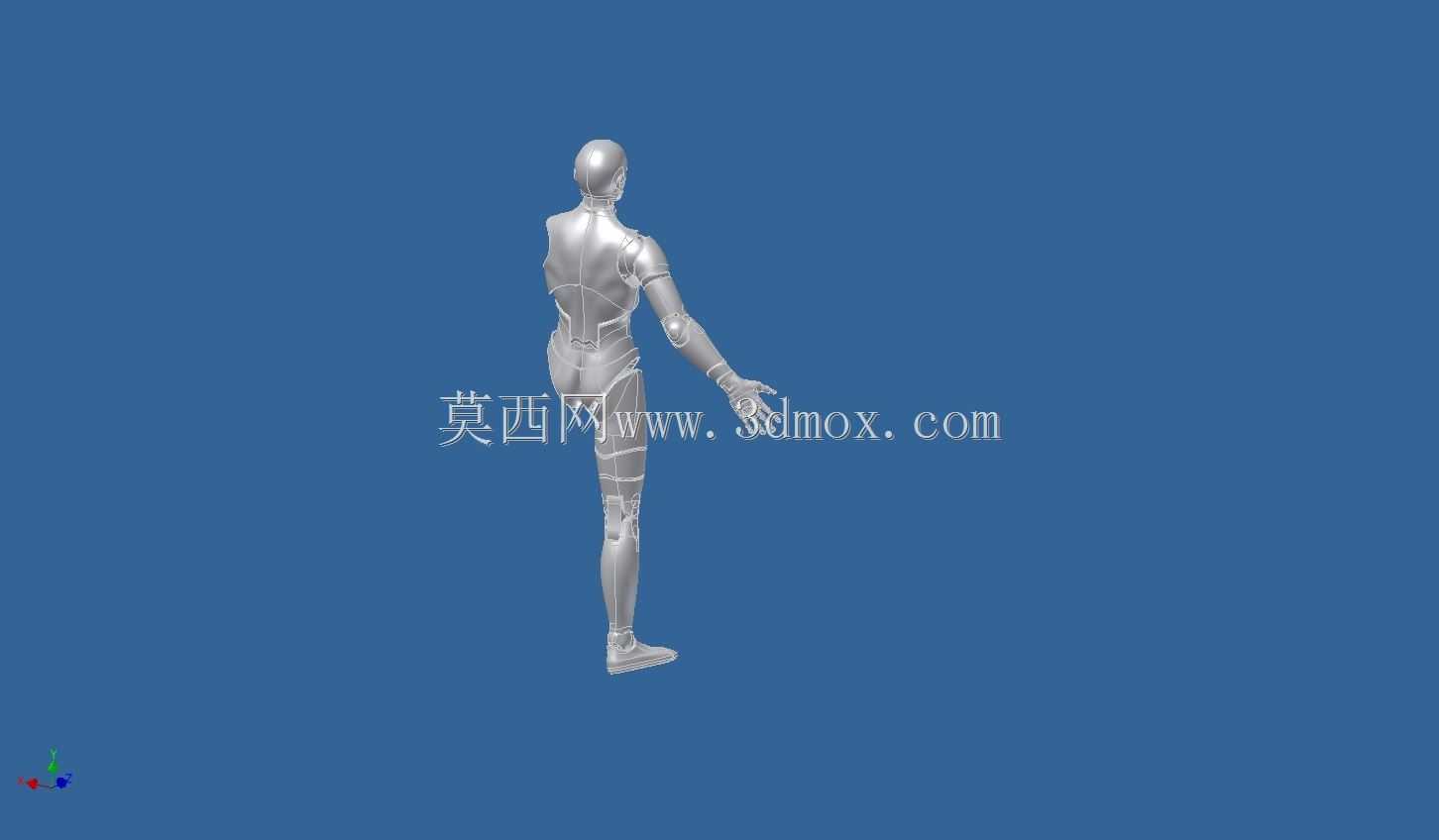 亚当人体模型
