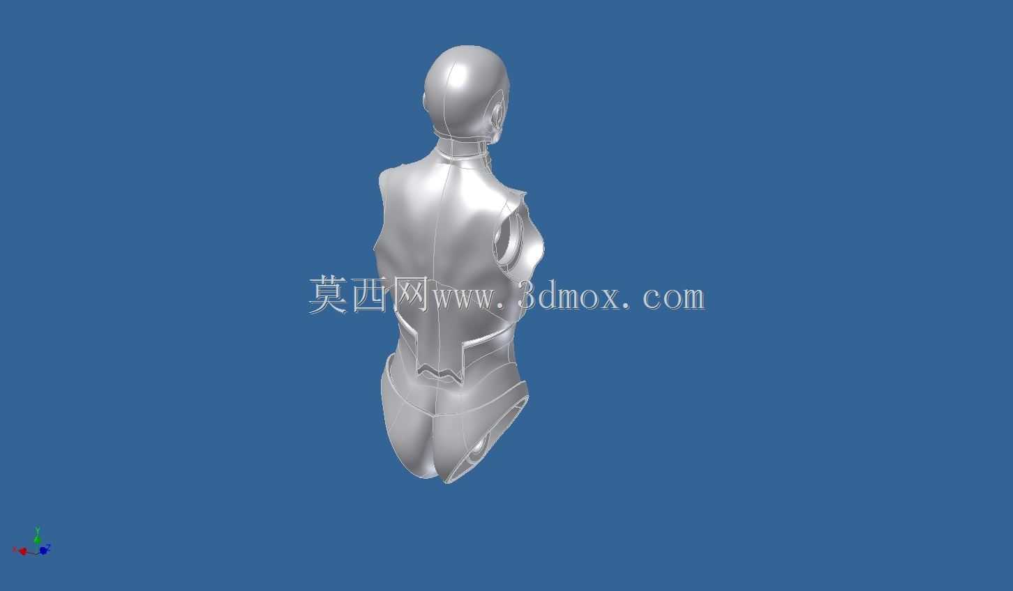 亚当人体模型